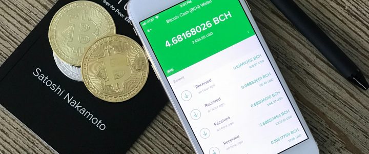 What does De Nederlandsche Bank think about cryptocurrency? ‘Not going to play the role people expect’